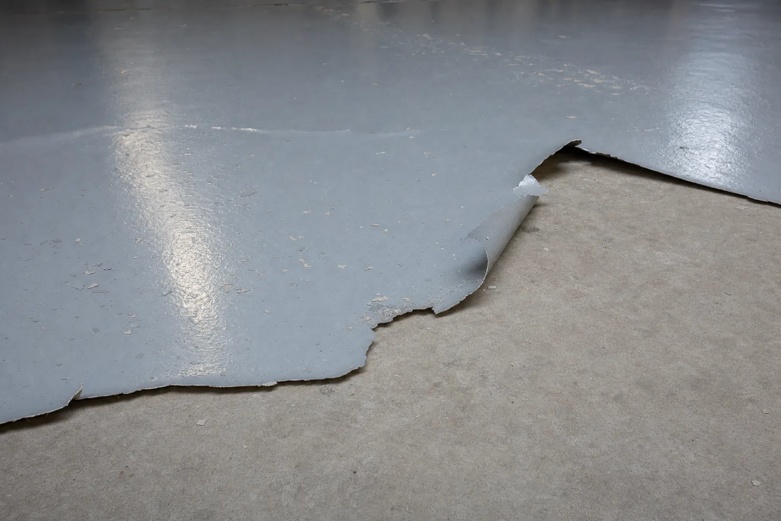 Grey epoxy coating peeling away from a garage floor in large curling sheets